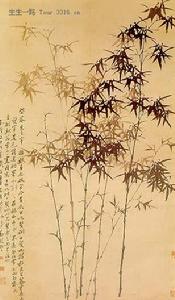 郑板桥 郑板桥
