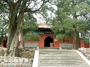 郑板桥 郑板桥