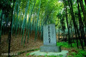虞世南 虞世南