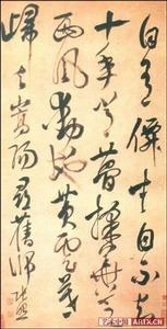 张照 张照